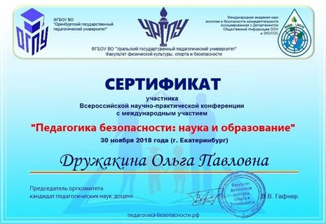 Сертификат Дружакина Педагогика безопасности